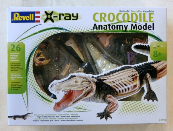 REVELL 02095 CROCODILE ANATOMY MODEL Model Kit