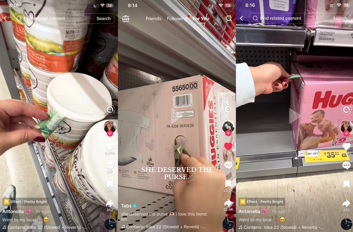 SHE DESERVED THE PURSE Le mouvement TikTok