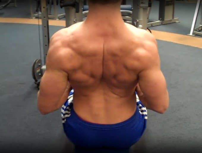 Seated Cable Row Exercise Form Guide with Video & Pictures