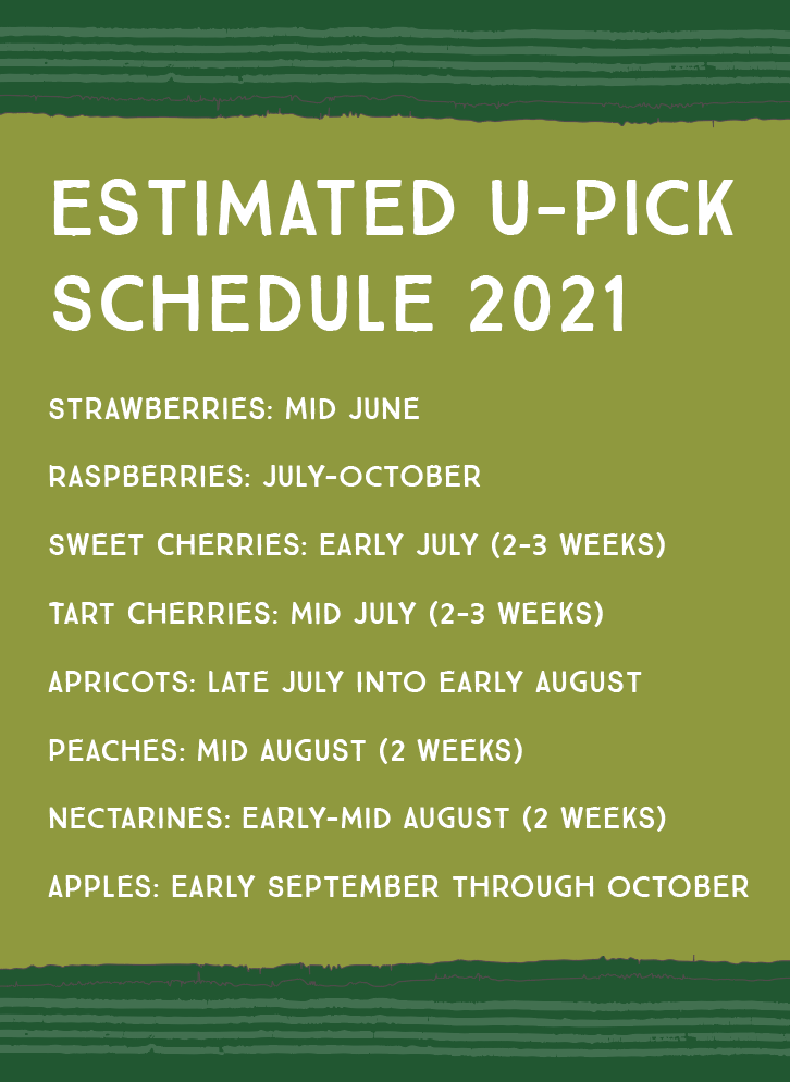 UPick Cherry Orchard in Northern Michigan King Orchards