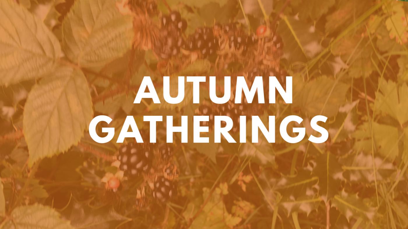 Autumn Gatherings Preaching King's Church Edinburgh