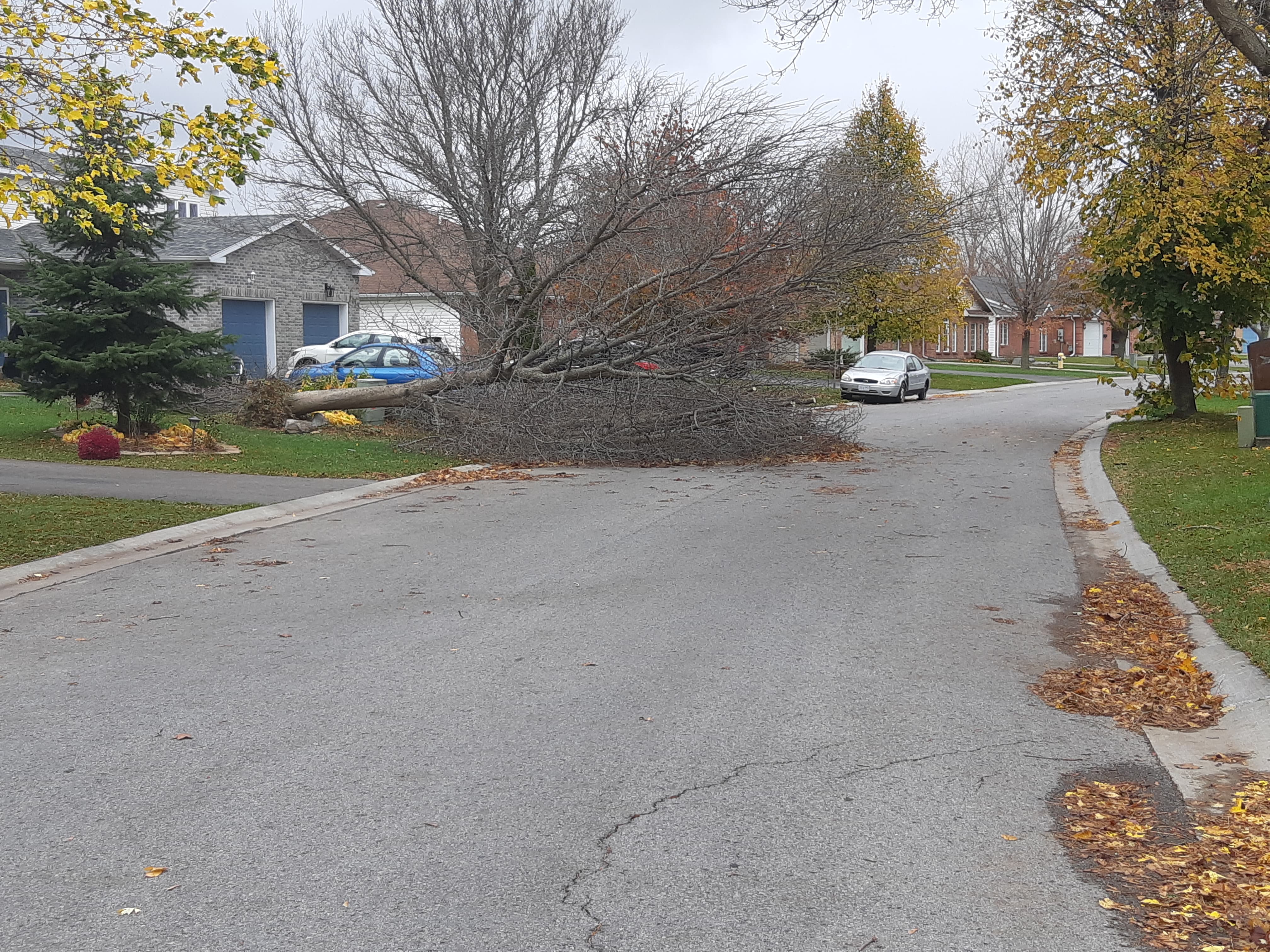 Storm wreaks havoc on Kingston and area Kingston News