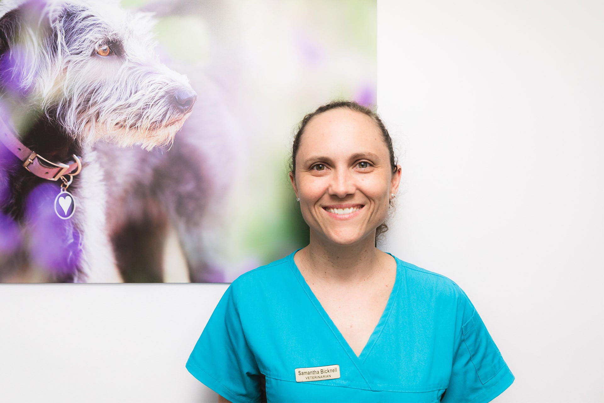 Samantha Bicknell King Street Veterinary Hospital Murwillumbah