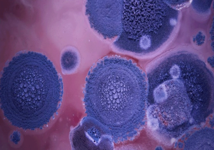 science Kinnear Pharmaceuticals