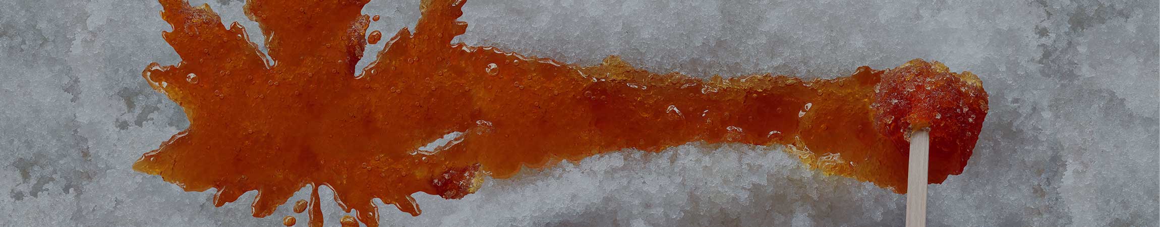 Maple Insurance for Vermont Sugarmakers Kinney Insurance Agency