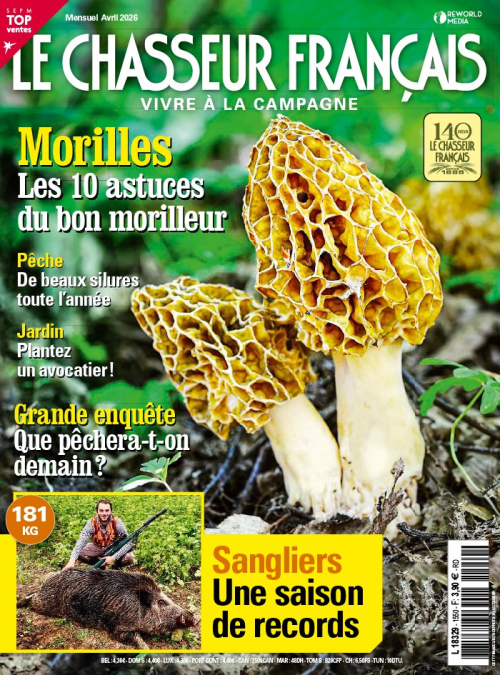 « Tableau de chasse » 2023/2024 le sanglier repasse la barre des 800