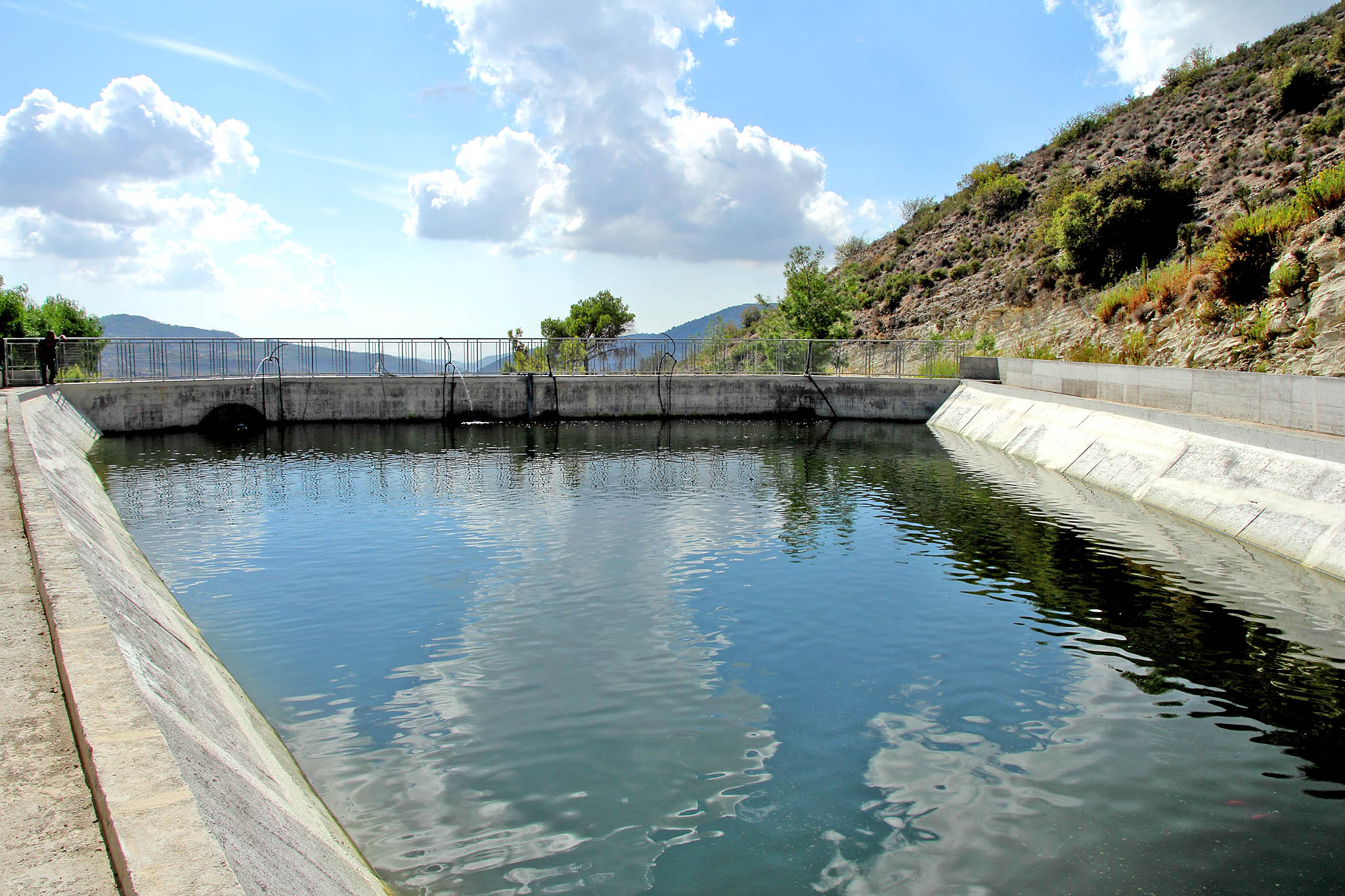 Sturgeon and trout. Fishing in Cyprus lakes Cyprus inform