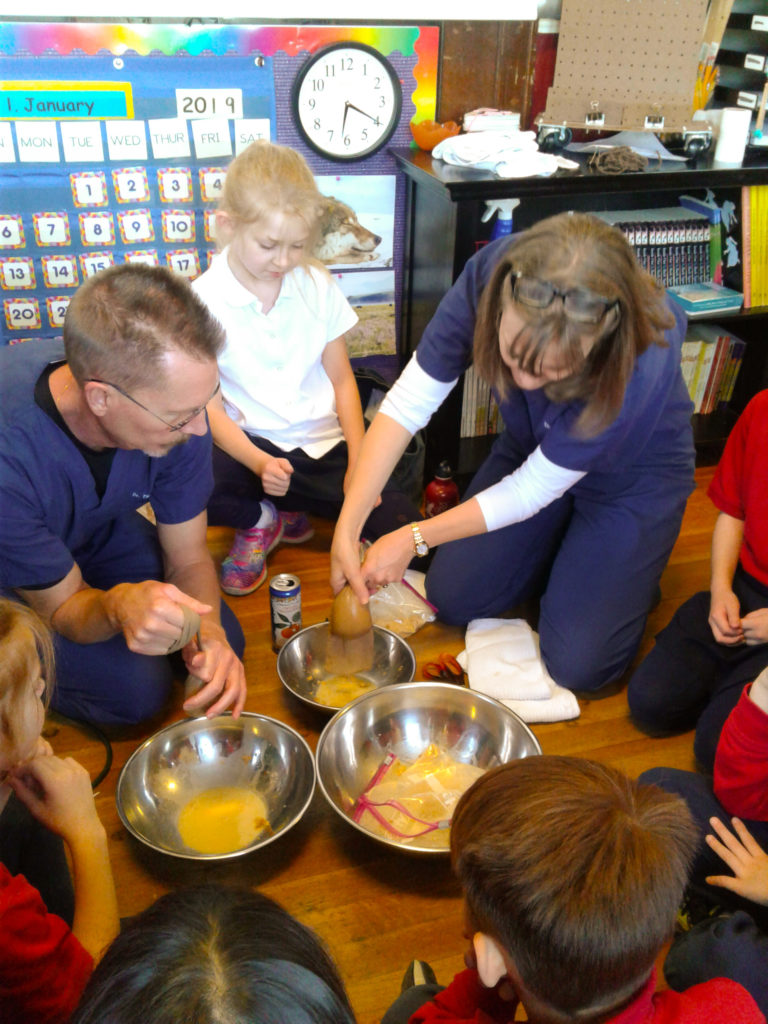 2nd Grade Learns About the Digestive System Kirby Hall School