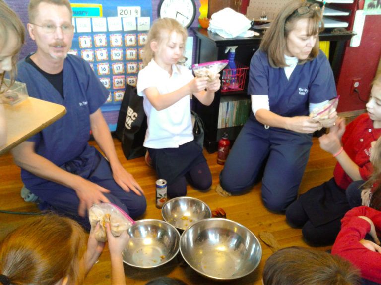 2nd Grade Learns About the Digestive System Kirby Hall School