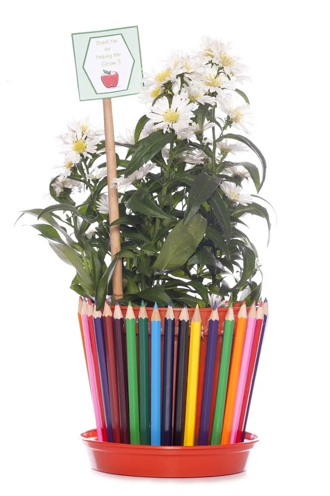 Abschiedsgeschenk für die Erzieherin Viele individuelle Geschenkideen