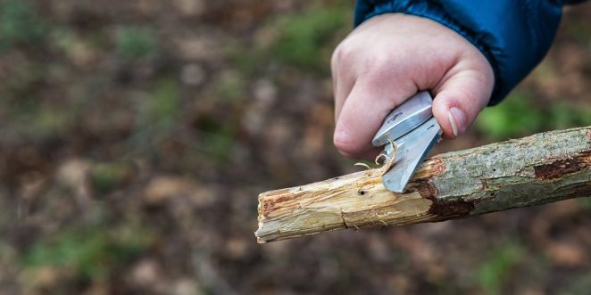 Schnitzen für Kinder Erste Anleitungen und Ideen für Anfänger