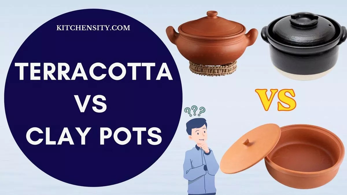 11 Differences Between Terracotta And Clay Pots For Cooking