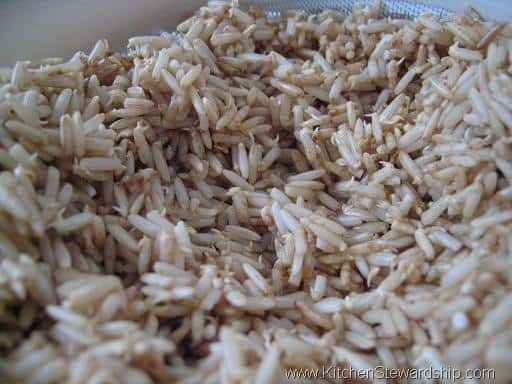 Germinated Brown Rice