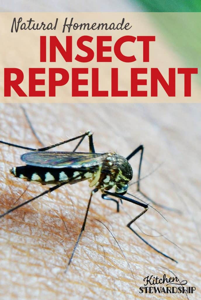 Natural, Homemade Insect Repellent