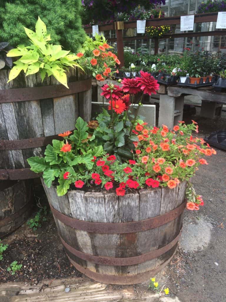 Permaculture Techniques for Container Gardening