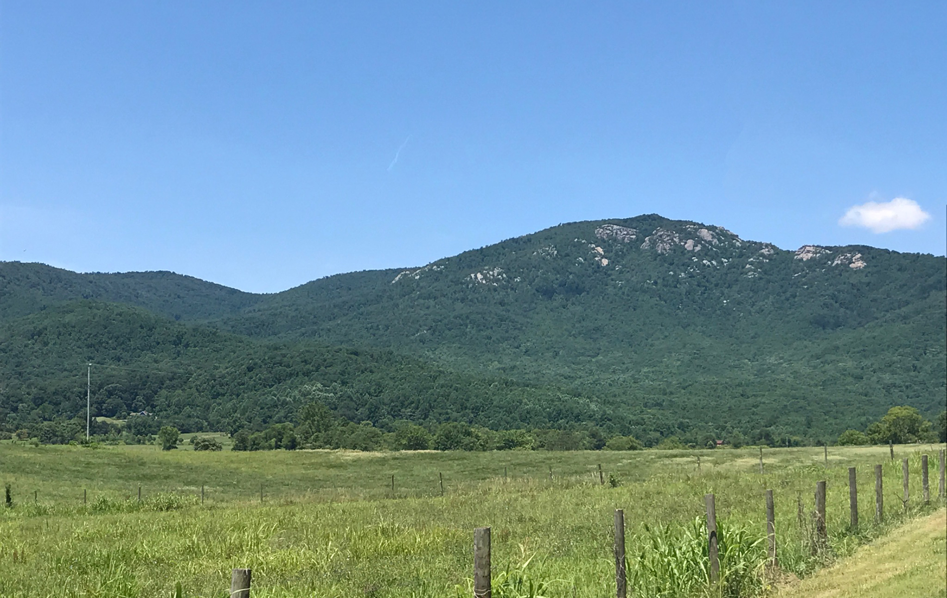 parallax Kite's Country Hams