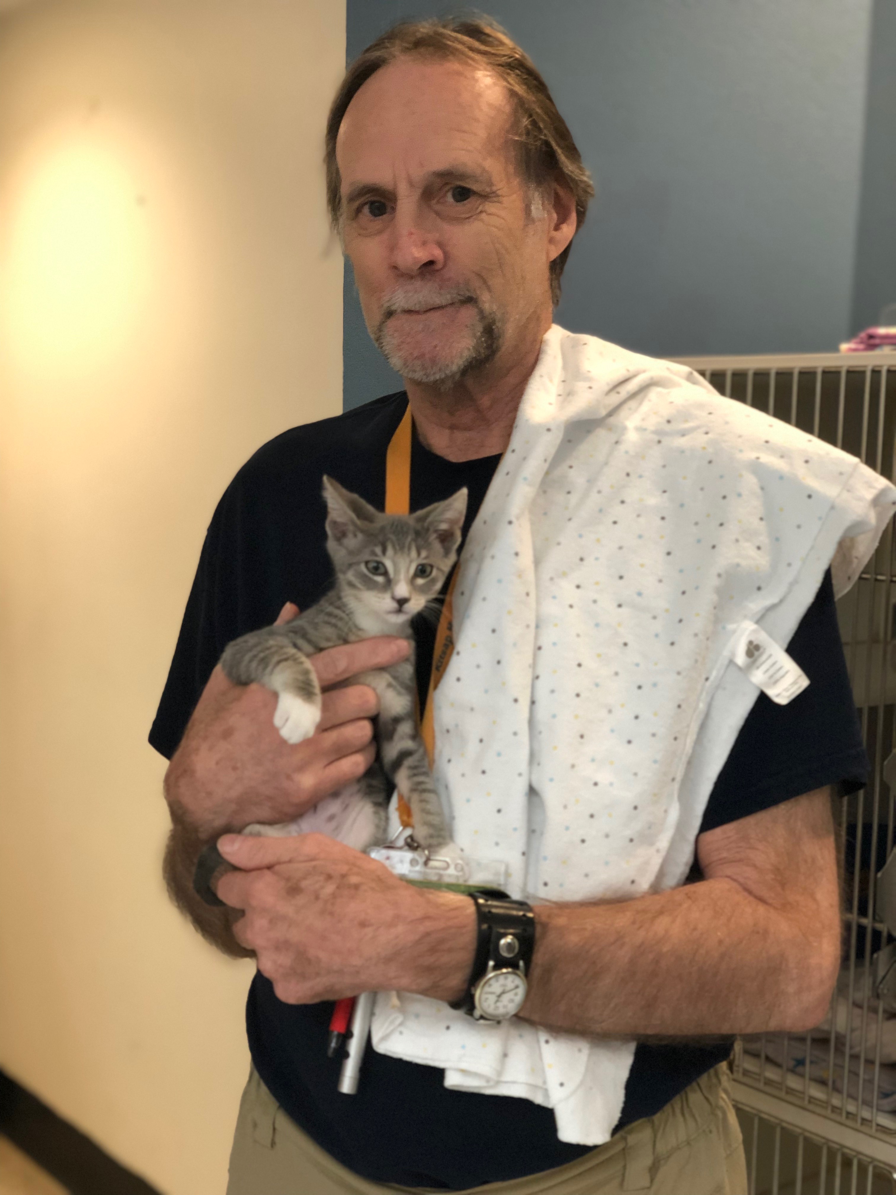 Kitsap Humane Society Volunteer Sets Adoption Record 3,000 Cats!