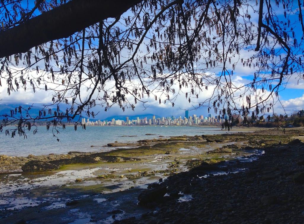 Museum of Vancouver Hosts Kits Beach Walk Kitsilano.ca