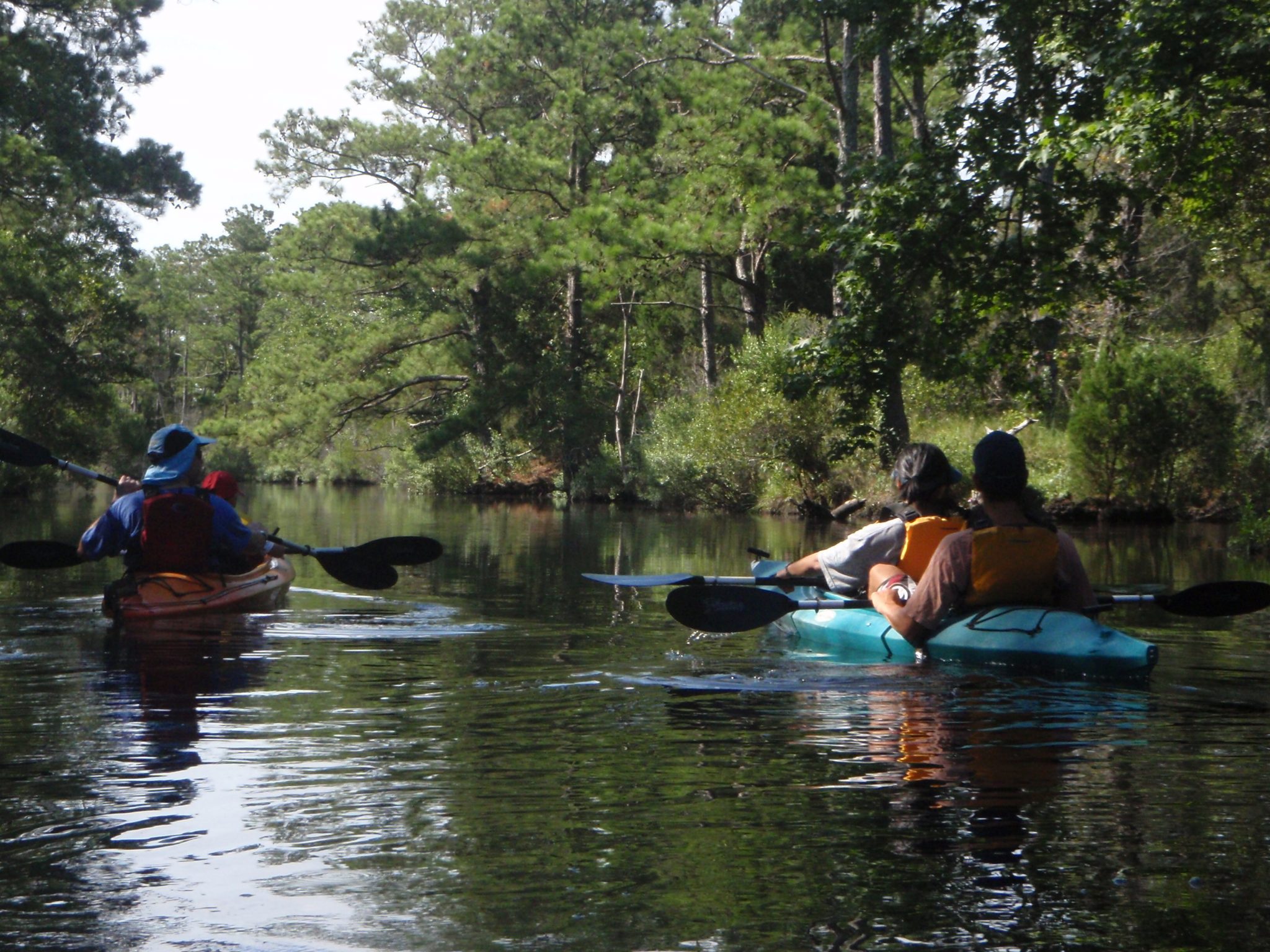 Safari River Maritime Forest Kayak Tour Kitty Hawk Kites