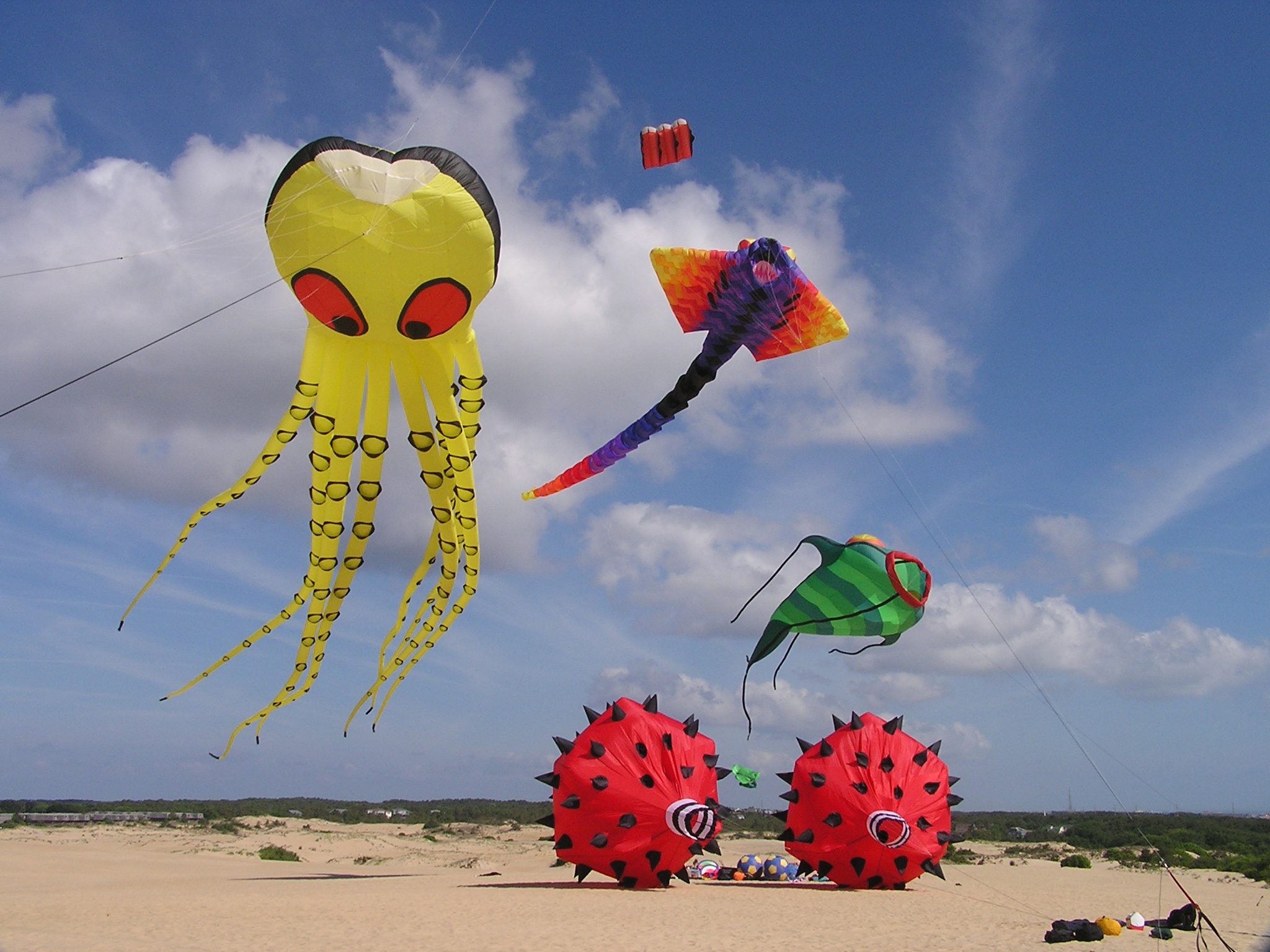 42nd Annual Rogallo Kite Festival Kitty Hawk Kites