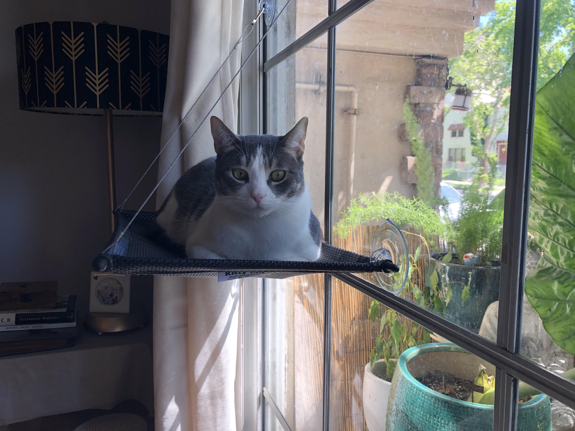 Original Kitty Kot™ World's BEST Cat Perch™