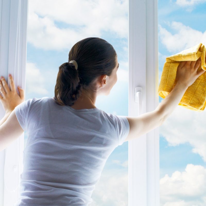 What Is Mould and How Can uPVC Windows Help? Kiwi Windows