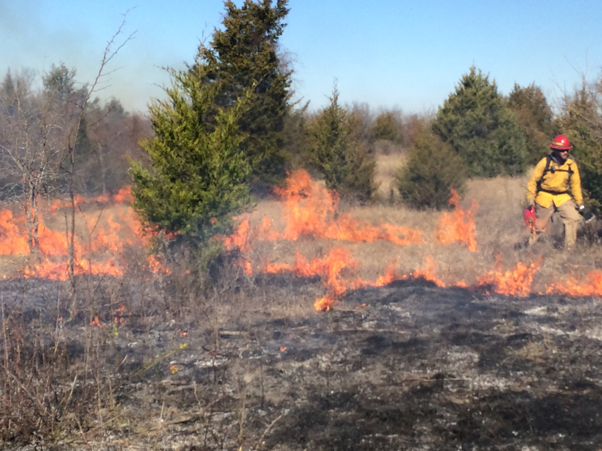 Iowa DNR sending firefighters to Alaska, Texas and Colorado « KJAN