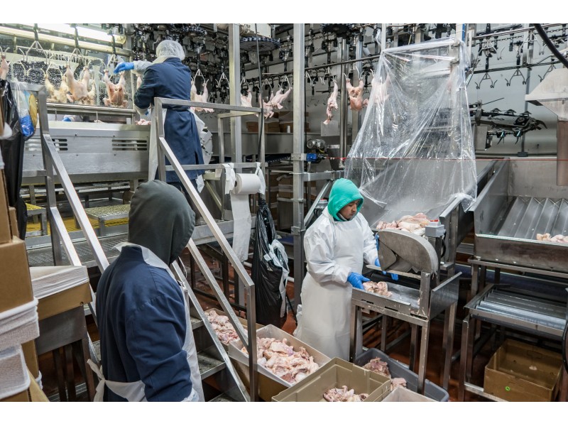 Gallery KJ Poultry Processing Plant