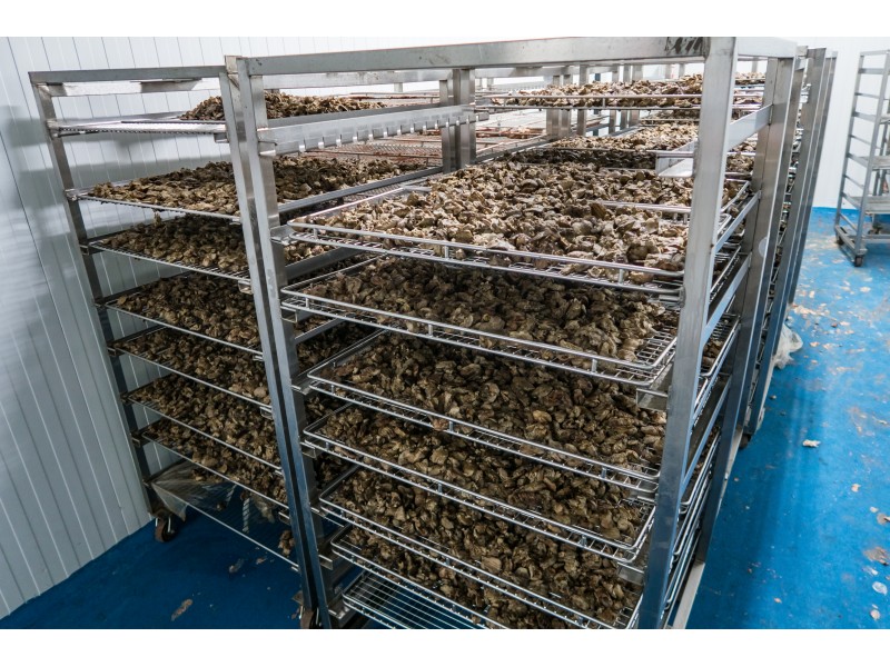 Gallery KJ Poultry Processing Plant