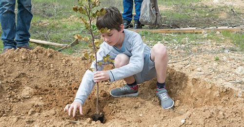 Planter des arbres en Israël avec le KKL de France