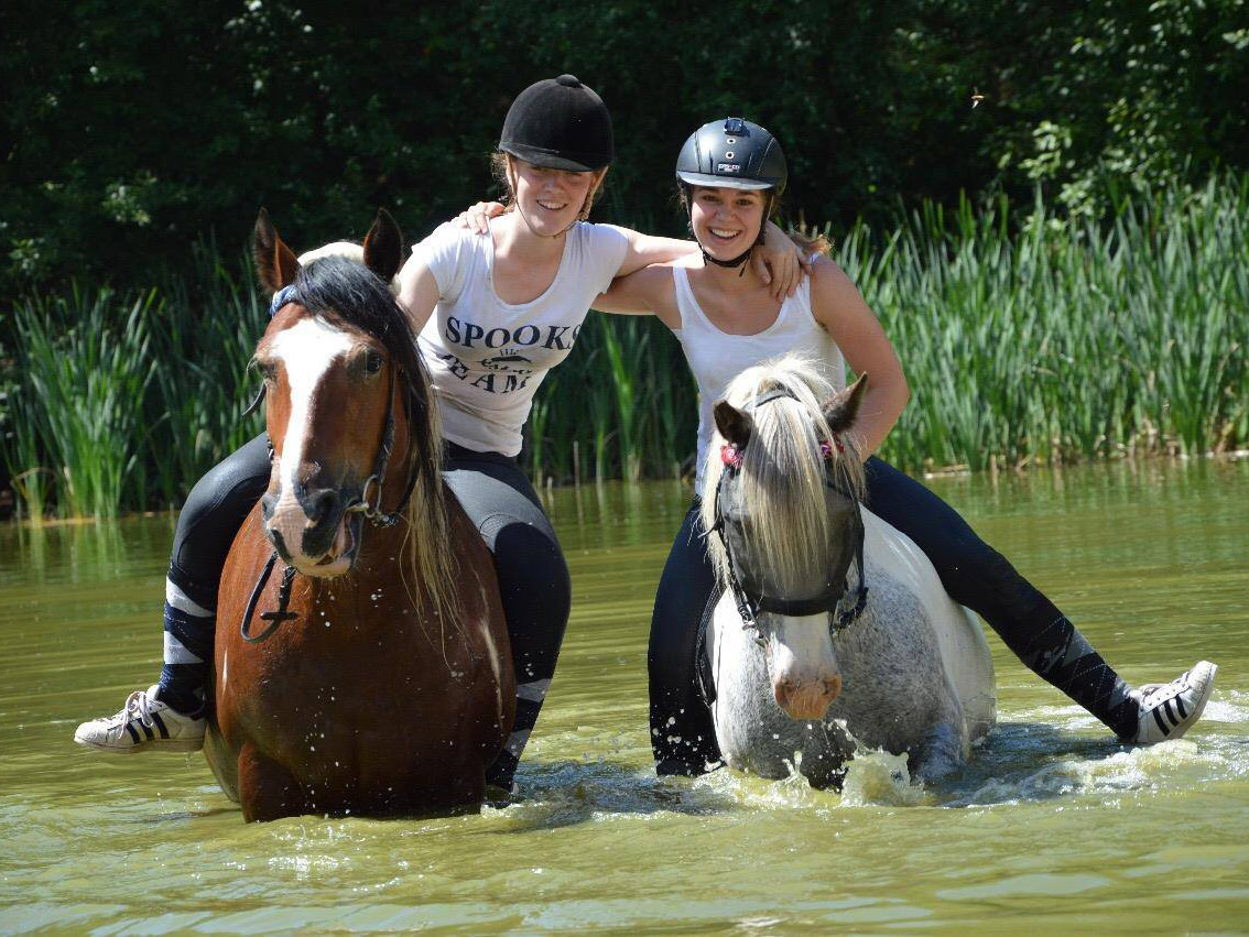 Reiterhof Klein Rohe Traumhafte Reiterferien auf Klein Rohe