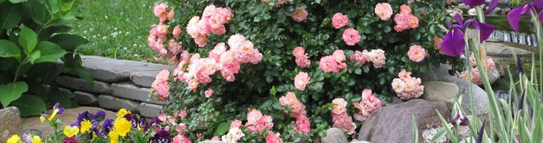 Drexel Hill Havertown PA Landscaper Landscape Lighting & Hardscape