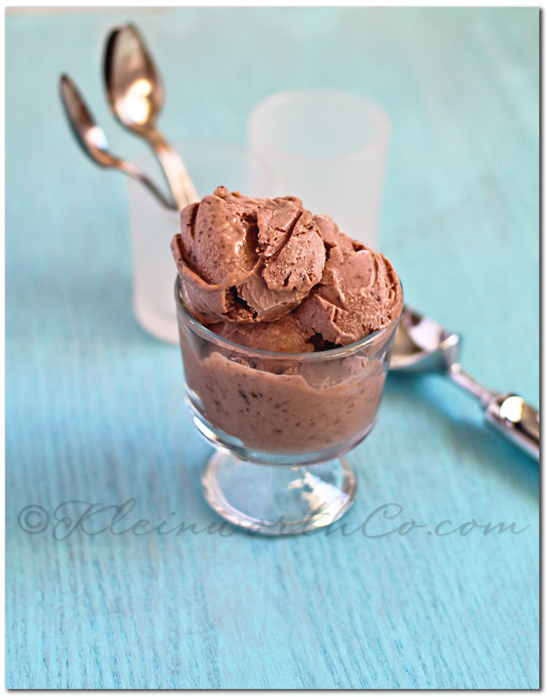 Chocolate Frozen Yogurt Taste of the Frontier