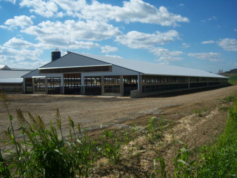 Dairy Barns