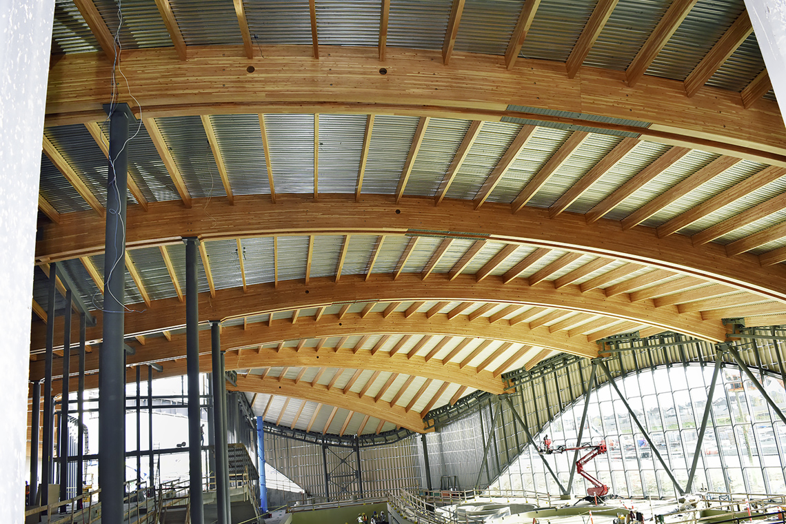 Curved Timber Beams Melbourne The Best Picture Of Beam