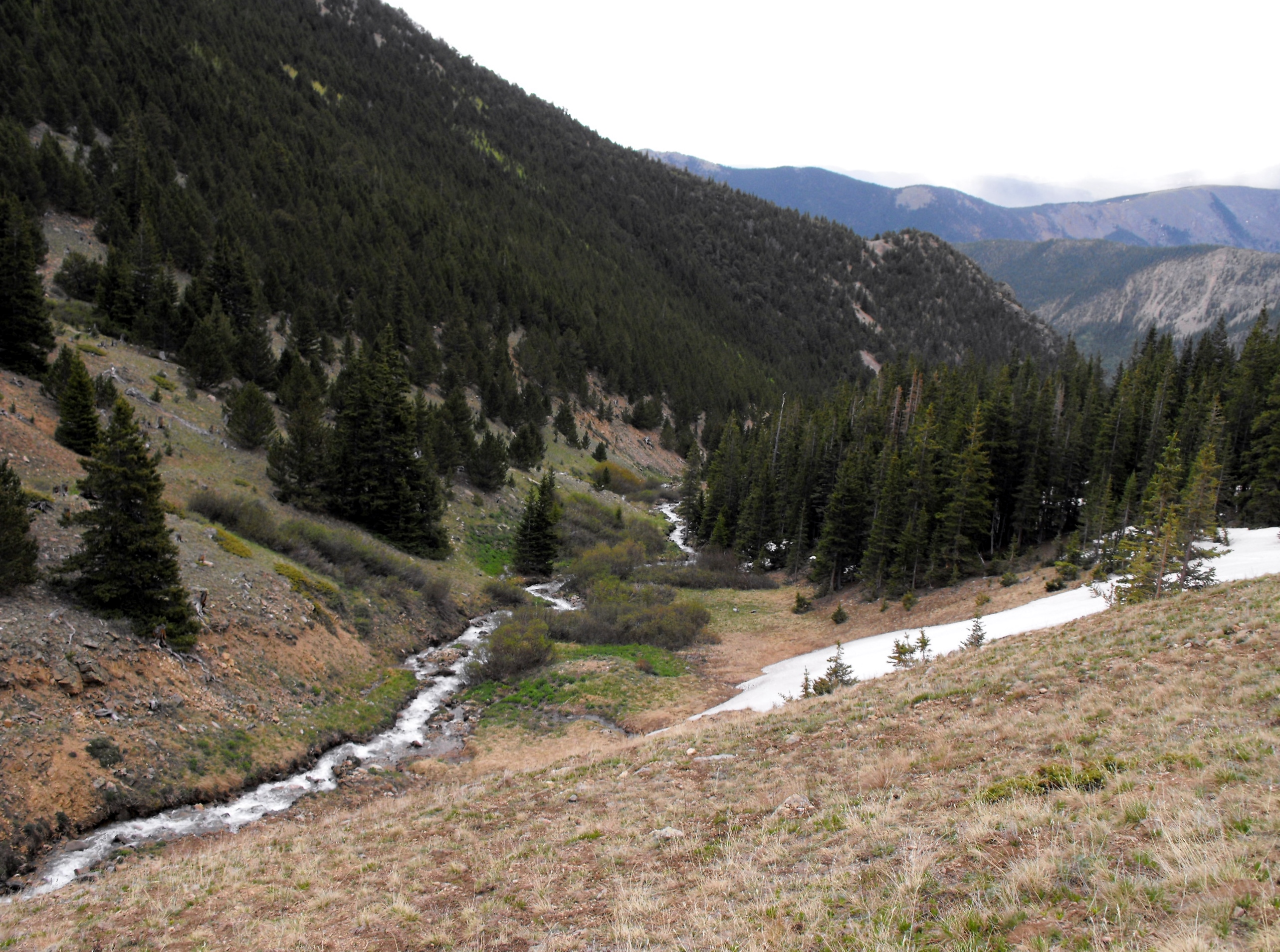 Silver Plume Mountain THINKING IS HARD