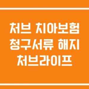 처브 치아보험 청구서류 해지 처브라이프 처브 치아보험 청구서류 해지 처브라이프