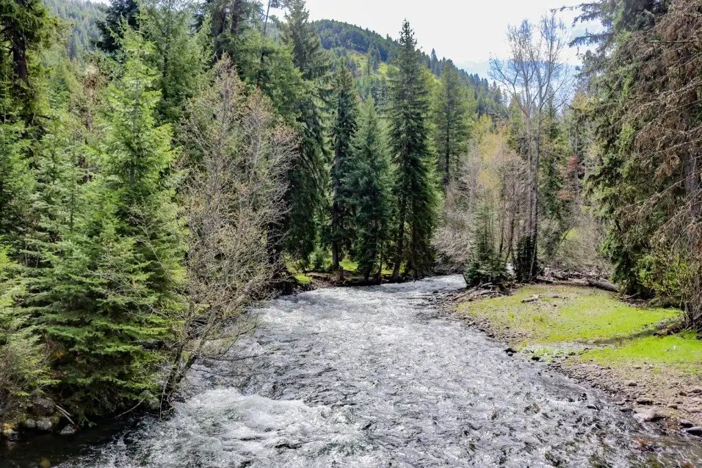 Lostine Timbered Ranch Sold Knipe Land Co.