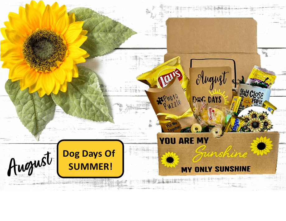 Gift Box Senior Monthly Program Dog Days Of Summer August Knock