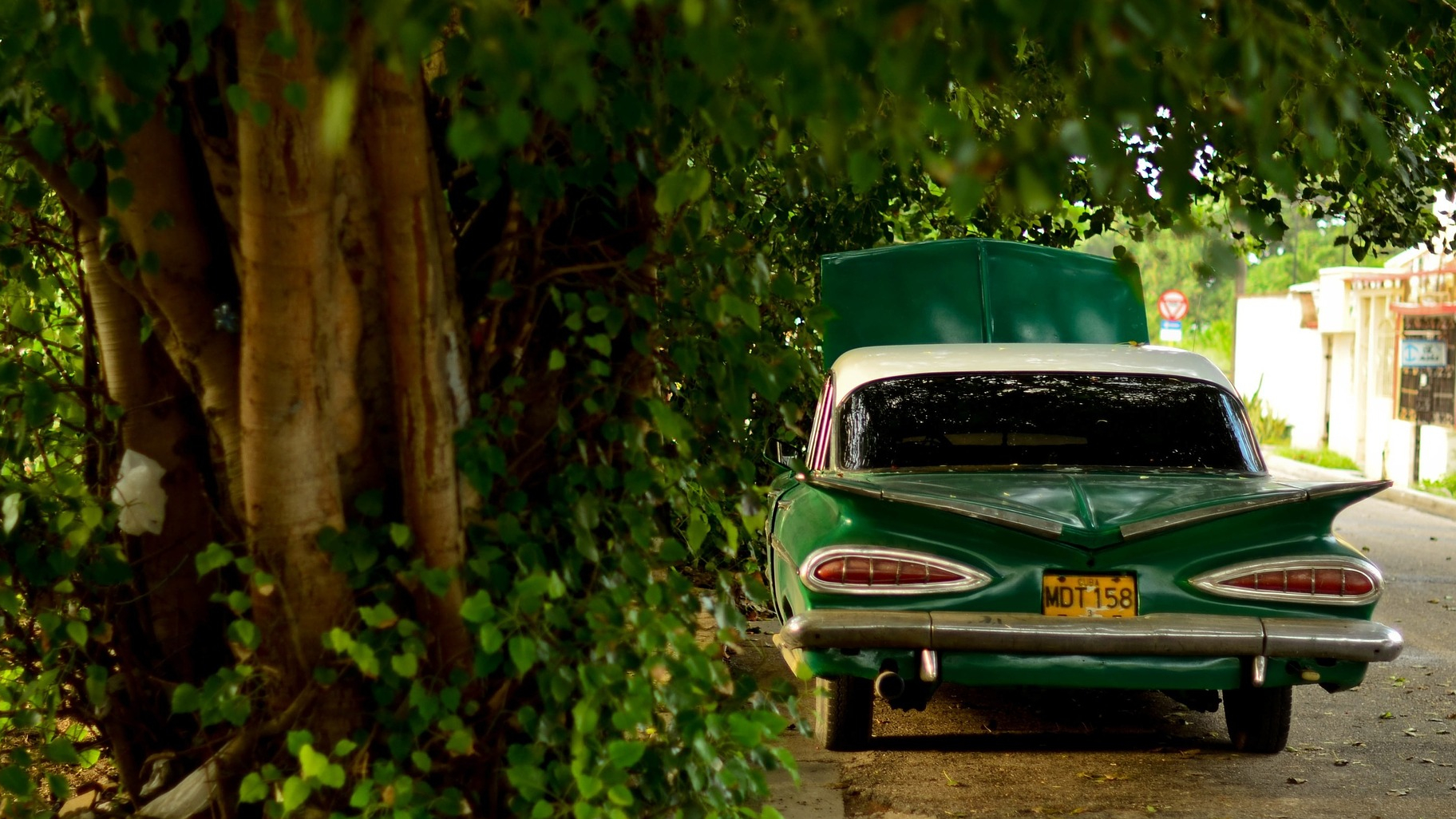 What Happens to a Car When It Overheats? | KnockOutEngine