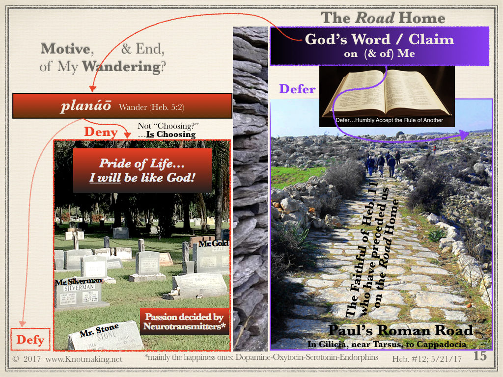 Hebrews Study 12, d5, posted.015 Making Scriptural Connections