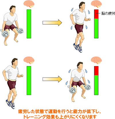 筋トレと有酸素運動の最適な順番とは？プロテインを飲むタイミングもご紹介！ | フィットイージー・Fit Easy | 24時間営業・年中無休のフィットネスジム 筋トレと有酸素運動、どっちが先？ | 肉体改造研究所（筋トレ＆ダイエット）