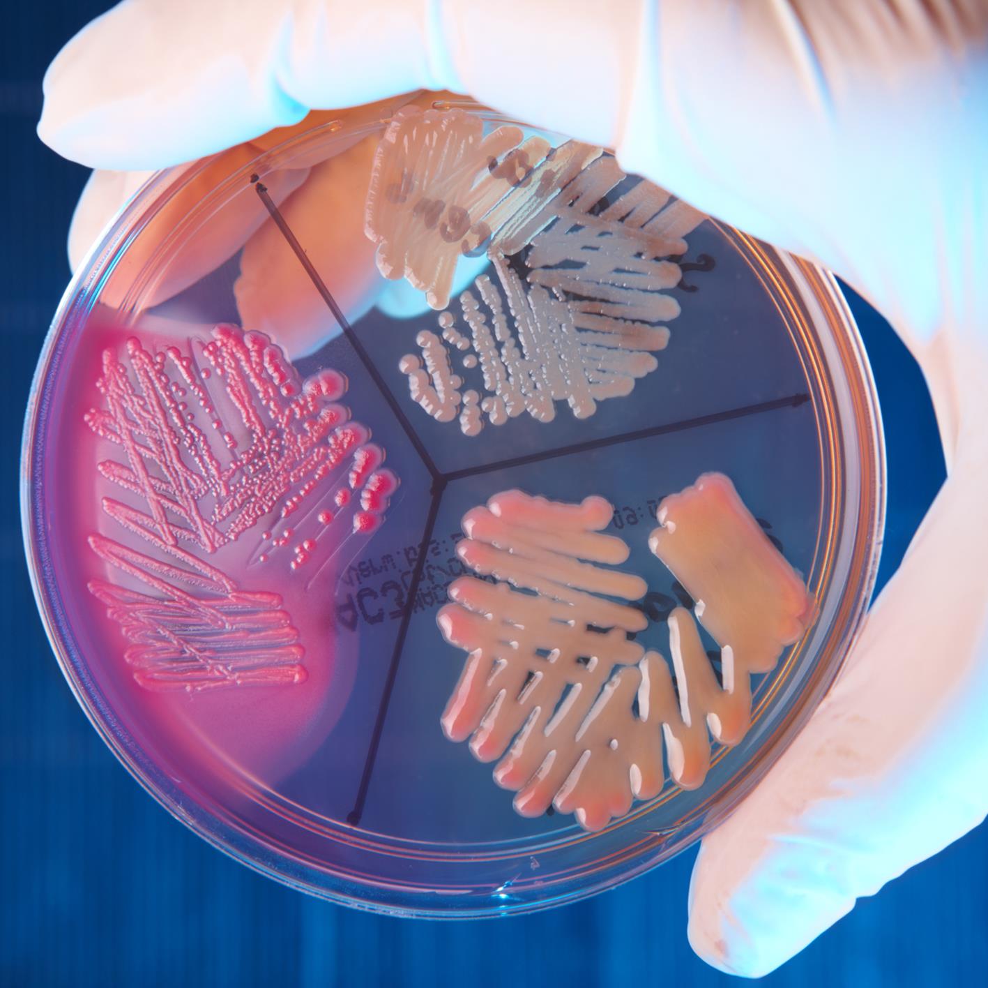 Drug Resistant Bacteria In The Know Caregiver Training