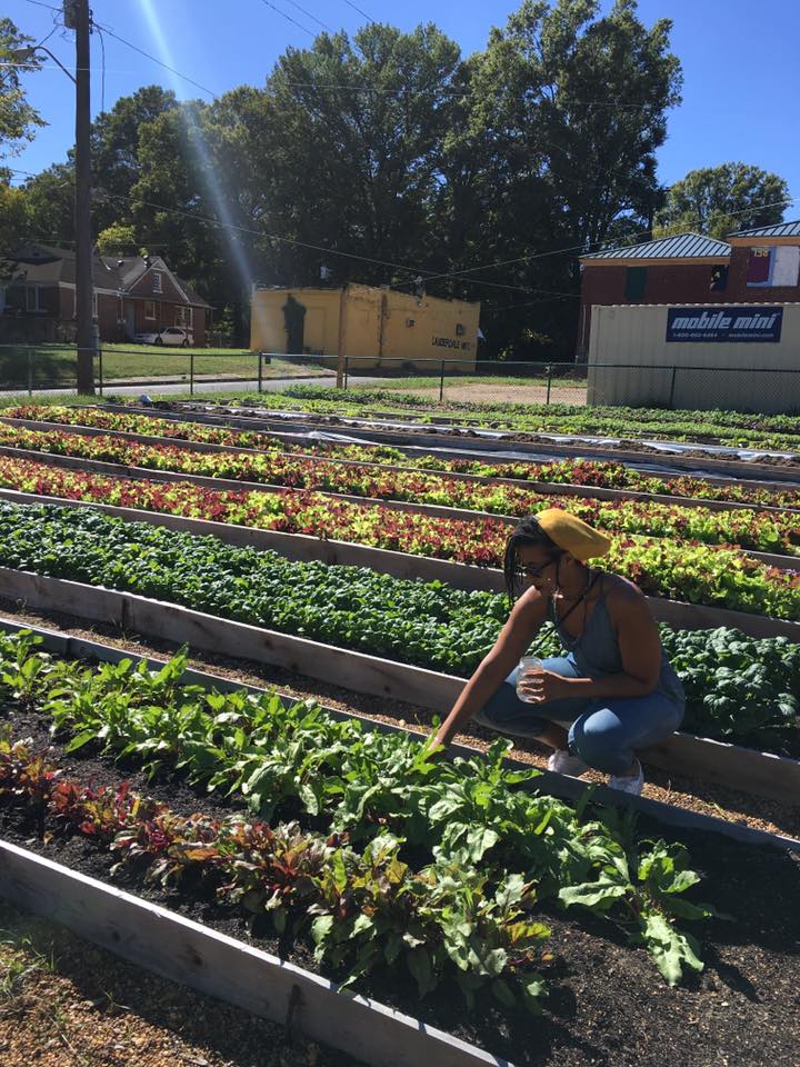 GL Farm Knowledge Quest