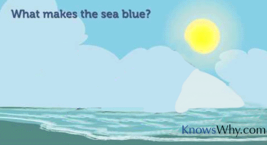 The blue color of sunlight has much less wavelength compared to all other colors. Water molecules will absorb light having a longer wavelength than light having a shorter wavelength. Why Is The Ocean Blue?