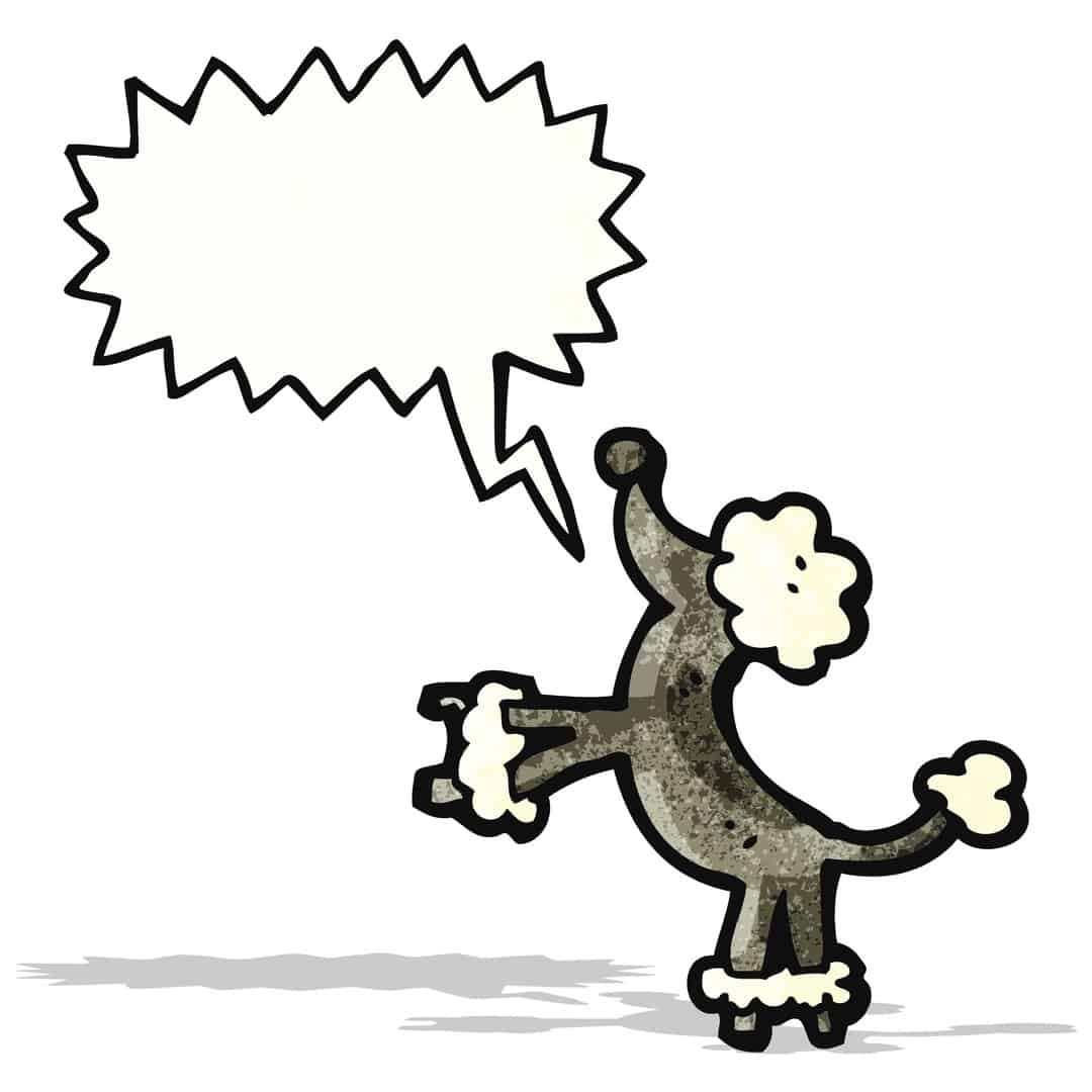 Are Poodles Known For Barking