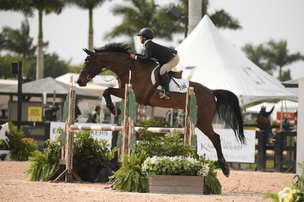 Winter Equestrian Festival 2023 Dates