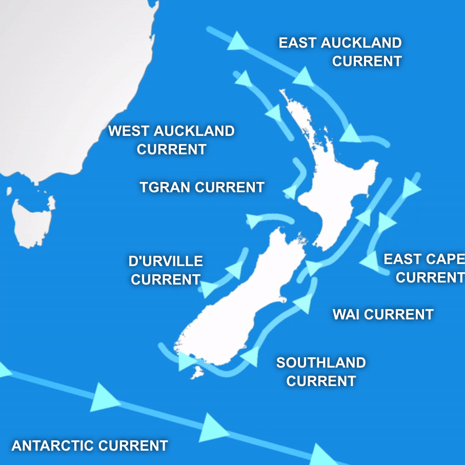 Kiki Kiwi & Friends Litter Less Programme Interactives Keep New