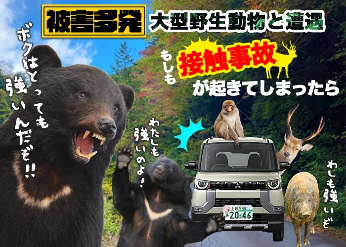 【被害多発】熊・イノシシなど大型動物と遭遇・接触事故が起きたら お知らせ｜上越市で車検なら車検のコバック上越店