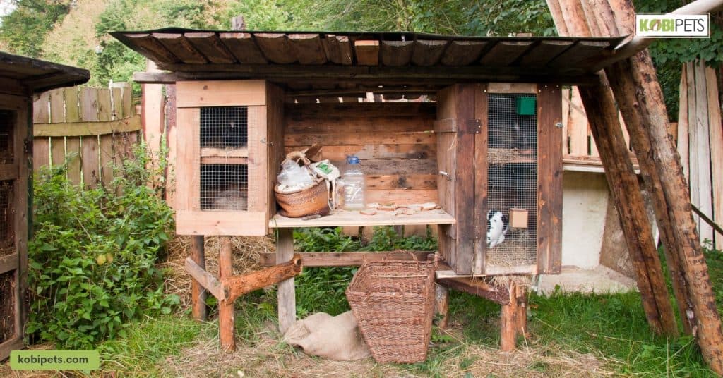 10 Free DIY Rabbit Hutch Plan Kobi Pets